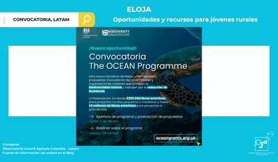 Oportunidad Global para Tu Comunidad: Convocatoria OCEAN Grants 2024